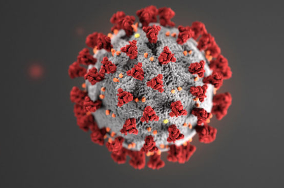 Koronavett i Røros IL